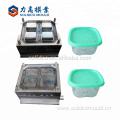 Factory customized plastic container storage product molding